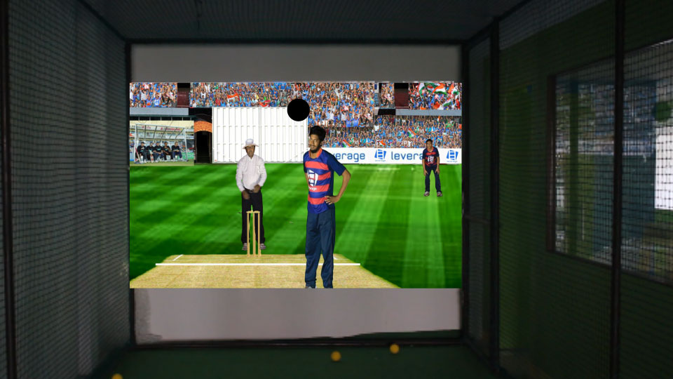 Cricket Simulator